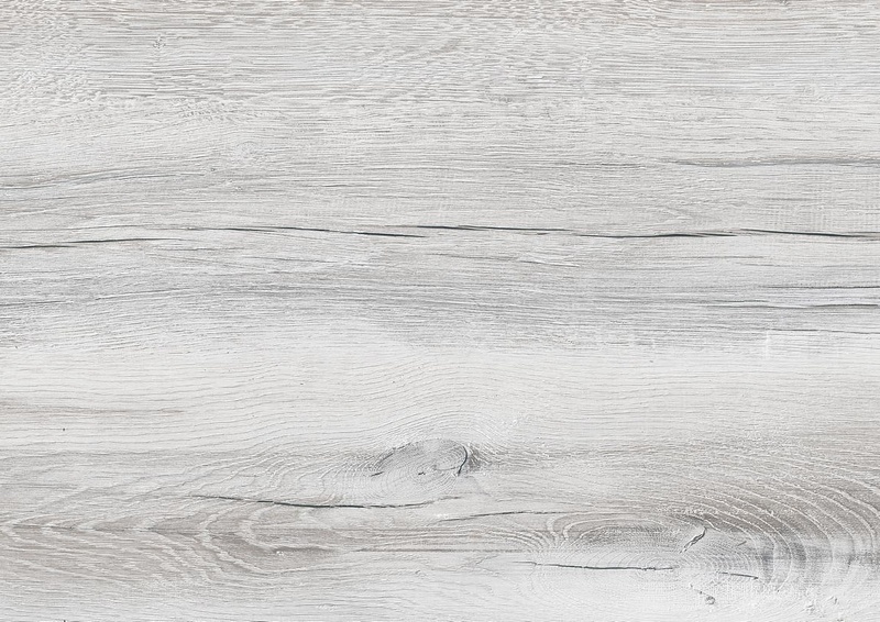 Дуб Канадский